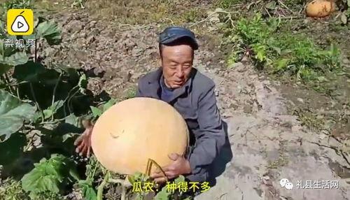 礼县吃瓜网红  第3张